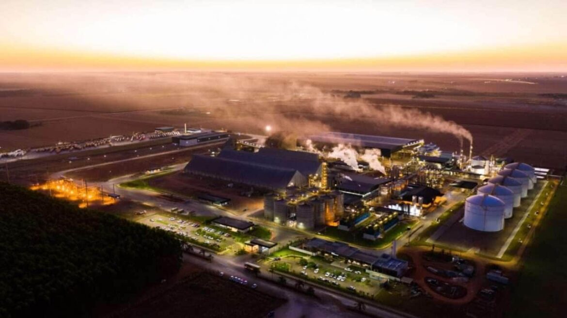 producao-de-etanol-de-milho-cresce-no-brasil-e-demanda-sustenta-valorizacao-do-grao-em-mato-grosso