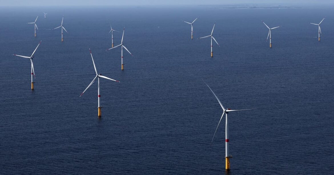 brasil-anuncia-terceiro-leilao-do-eco-invest-com-mecanismo-de-hedge-cambial