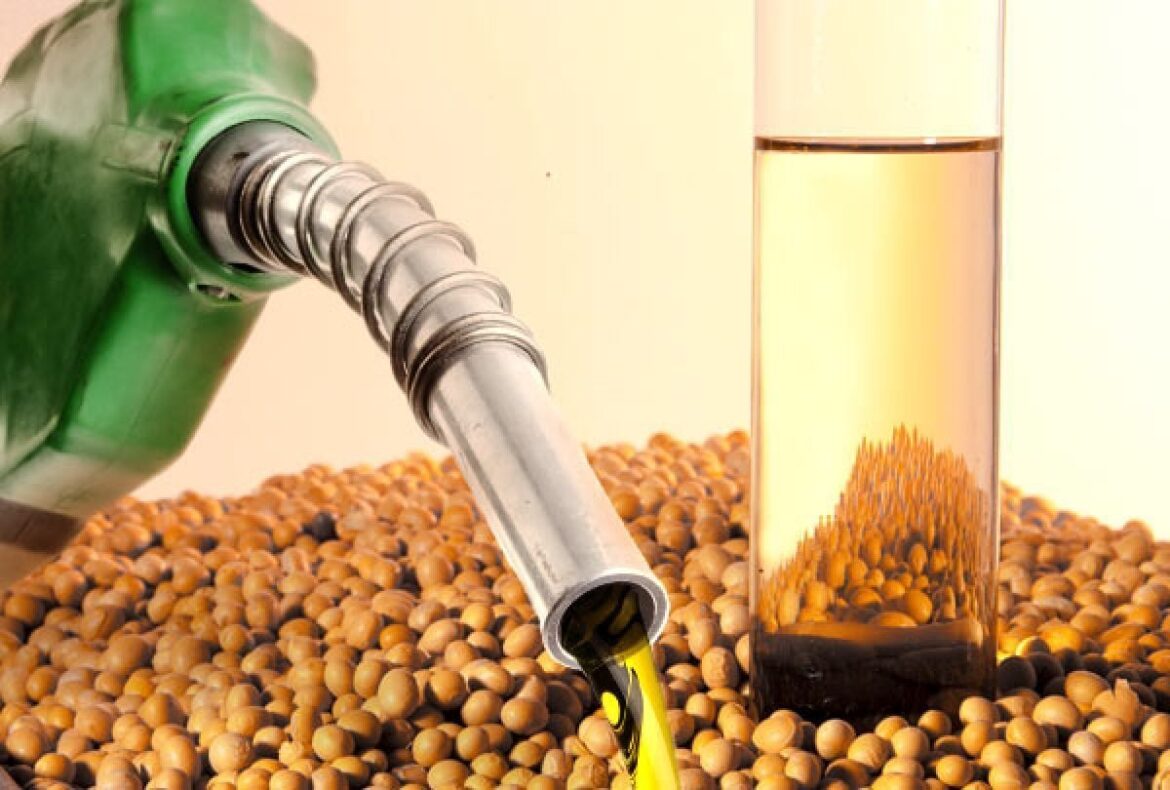 mato-grosso-reforca-lideranca-nacional-na-producao-de-biodiesel-em-2025