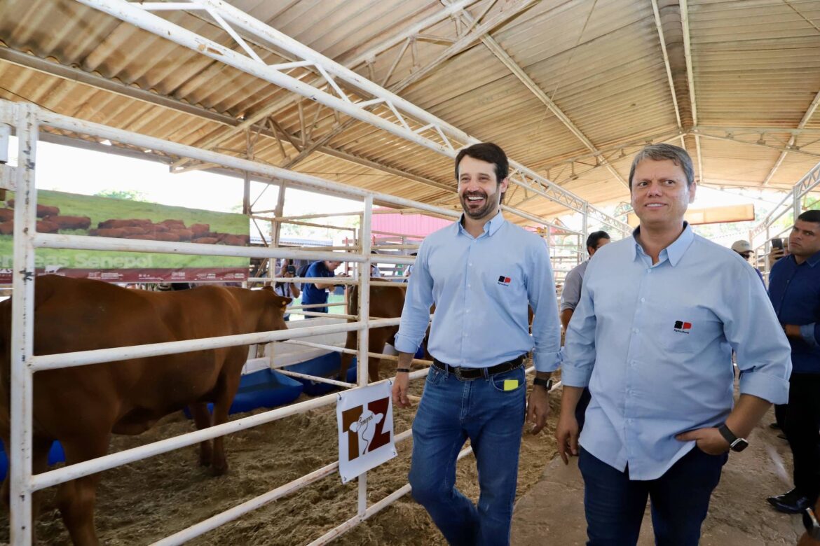 mp-sp-move-acoes-sobre-desvios-na-agricultura-e-traz-relatos-de-interferencia-da-gestao-tarcisio