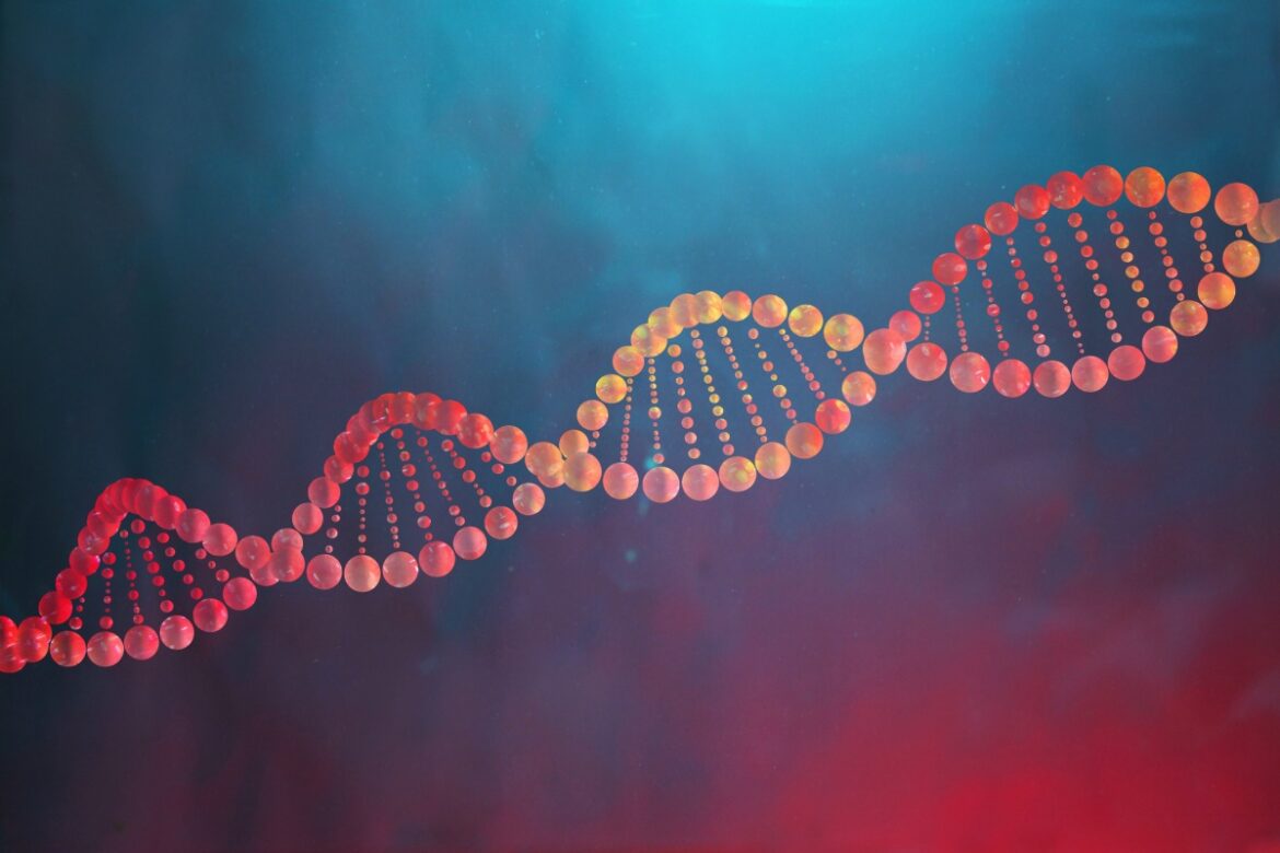 gene-causador-da-obesidade-pode-proteger-o-coracao,-aponta-estudo