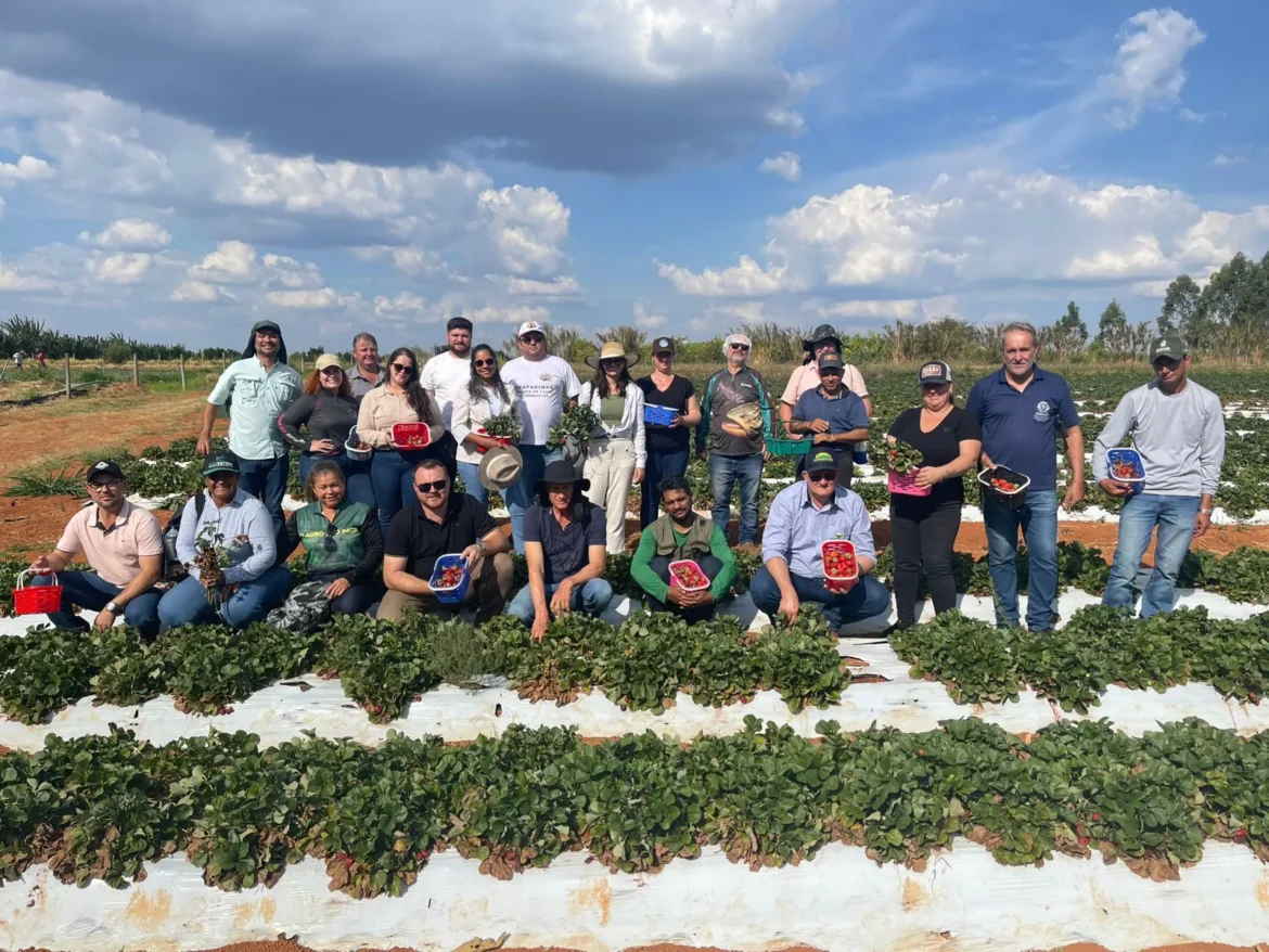 sebrae/mt-promove-missao-tecnica-em-brasilia-para-fortalecer-a-agricultura-familiar-em-mato-grosso