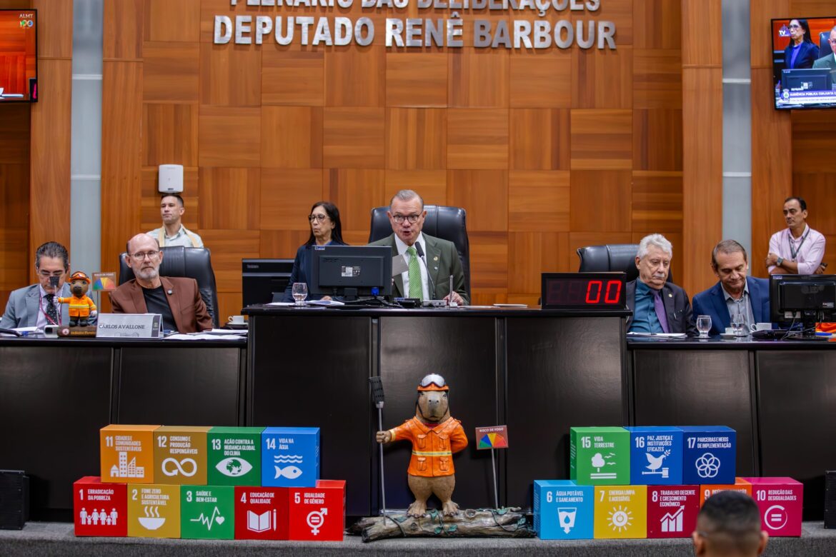 deputado-alerta-para-risco-de-desaparecimento-do-pantanal