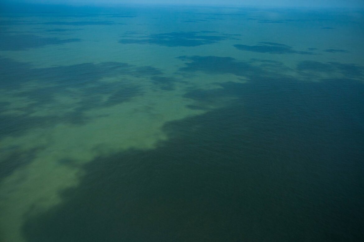 exploracao-da-foz-do-amazonas-enfraquece-brasil-como-lider-climatico-e-ameaca-biodiversidade,-alerta-ambientalista