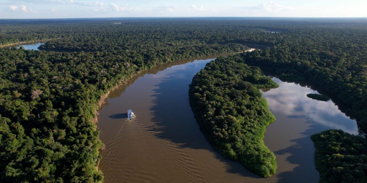 fazendas-ilegais-de-gado-devastam-areas-protegidas-na-amazonia