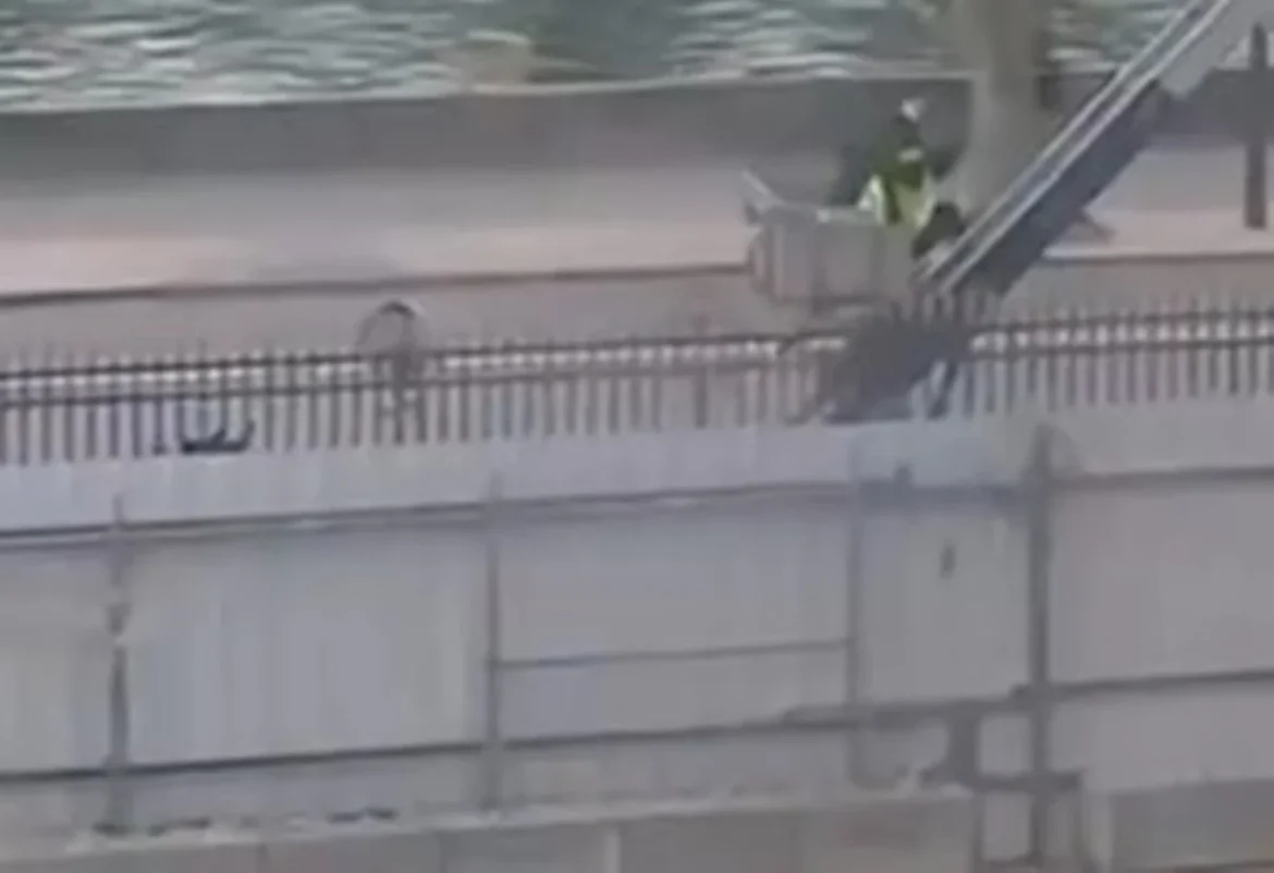 novo-video-mostra-ladroes-do-louvre-fugindo-em-elevador-decarga