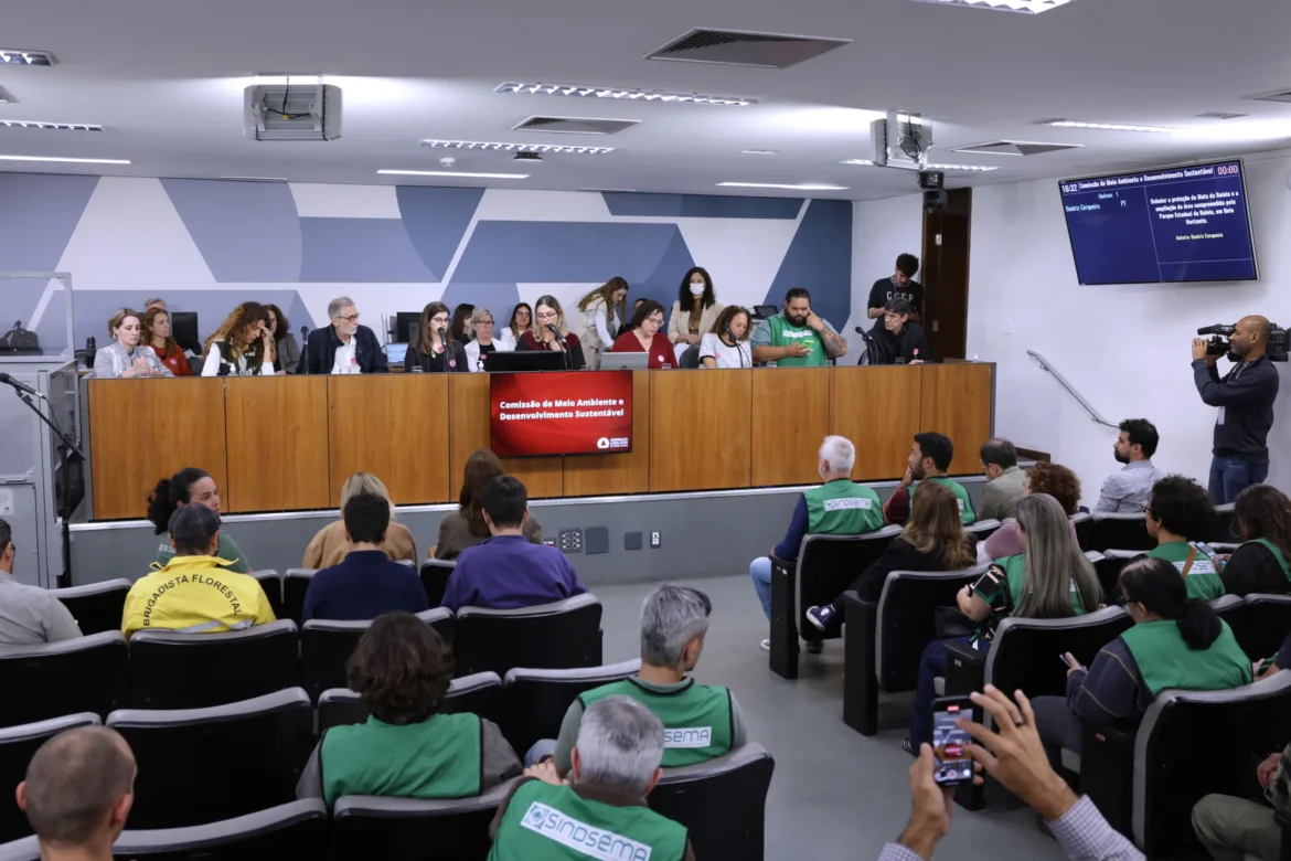 em-bh,-ambientalistas-querem-incluir-mata-da-baleia-em-parque-para-ampliar-a-protecao-da-area