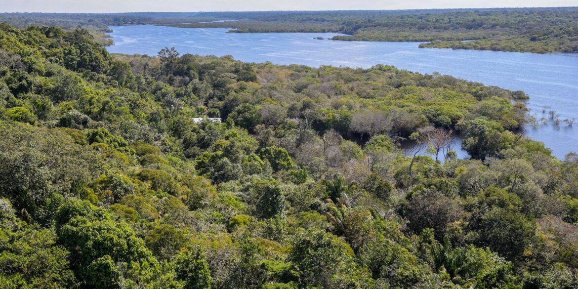 revista-the-economist-elogia-acoes-do-brasil-para-salvar-as-florestas