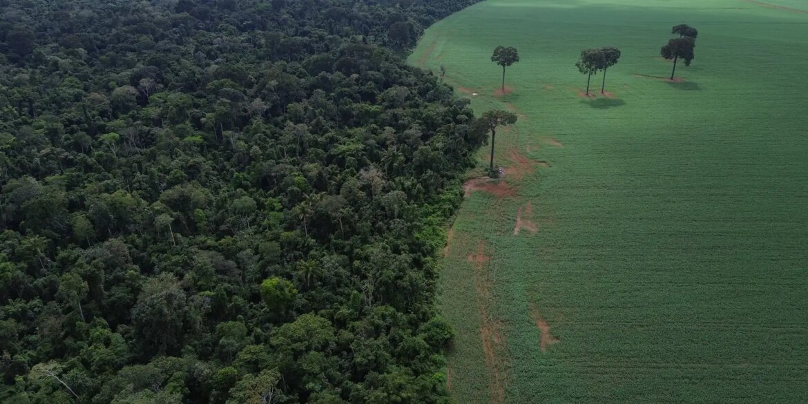 caravana-social-vai-a-cop30-denunciar-megaprojetos-do-agronegocio