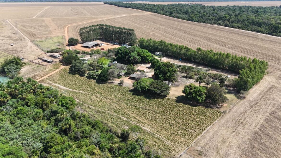 cat-sorriso-recebe-reconhecimento-nacional-do-mapa-por-boas-praticas-agricolas