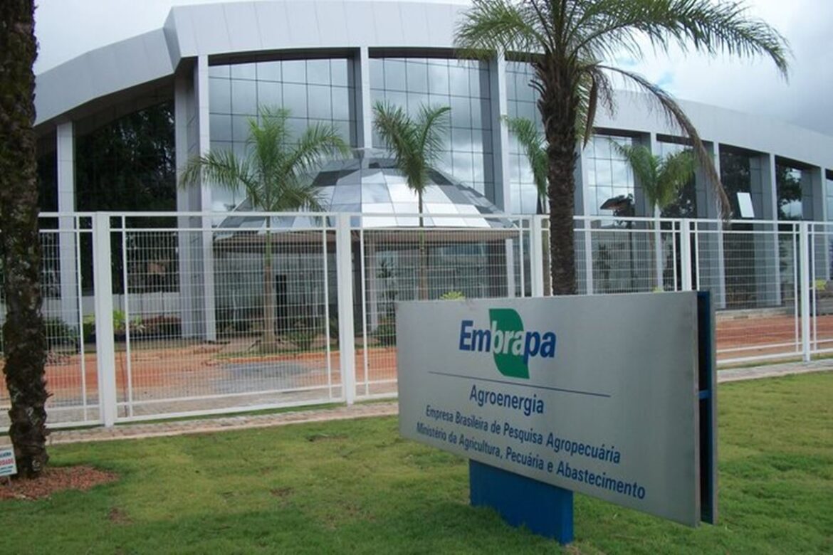insuficiencia-eletrica-obriga-embrapa-a-contratar-geradores-na-cop30
