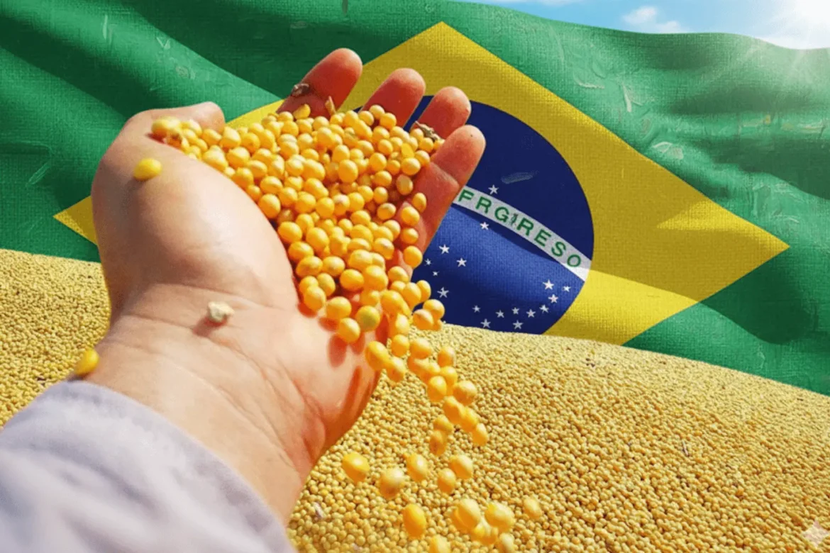 maior-producao-e-tensoes-comerciais-entre-china-e-eua-pressionam-preco-da-soja-em-mato-grosso