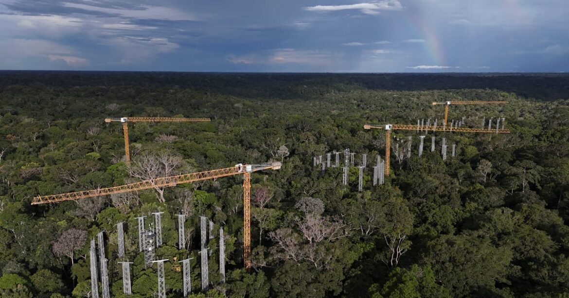 cientistas-operam-‘maquina-do-tempo’-climatica-na-amazonia-antes-da-cop30
