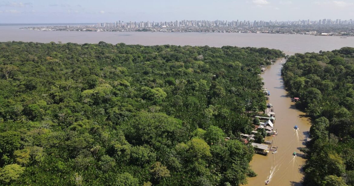 amazonia-tem-queda-de-11%-no-desmatamento-e-terceira-menor-area-destruida-em-um-ano