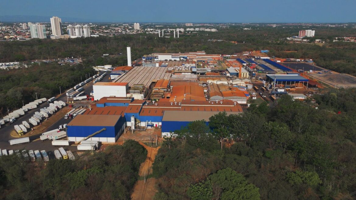 mbrf-usa-alta-tecnologia-para-garantir-qualidade-e-eficiencia-na-producao-de-hamburgueres