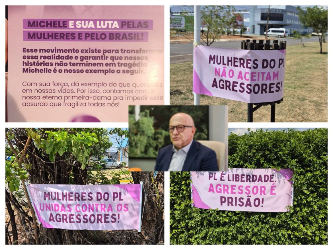 encontro-do-pl-mulher-vira-ato-contra-violencia-domestica-mensagem-clara-para-pivetta