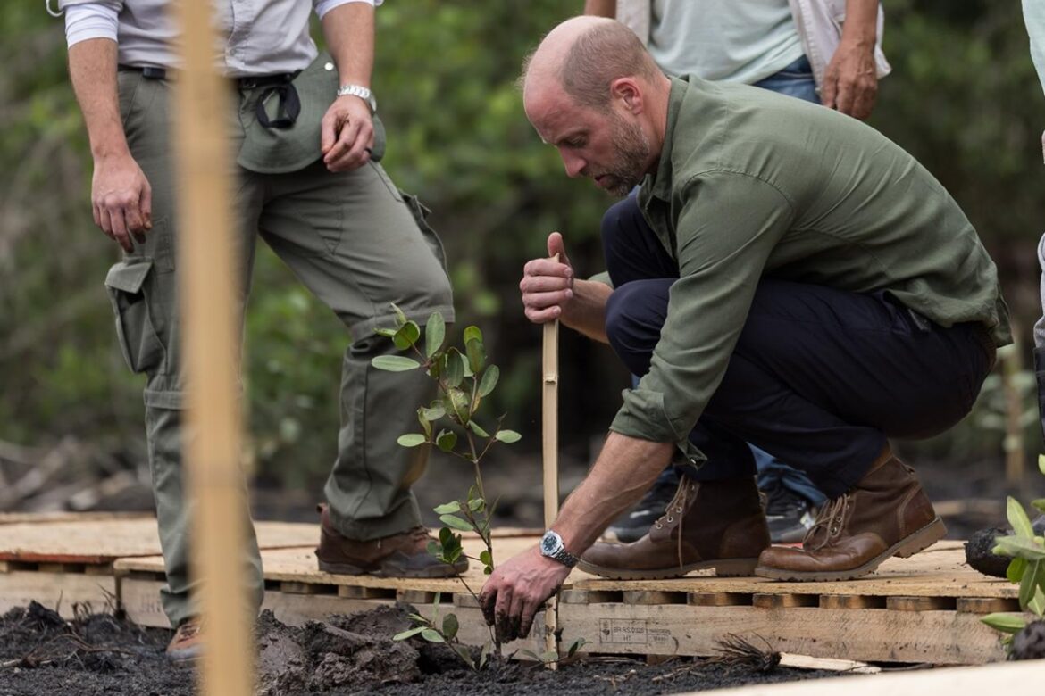 principe-william-revela-nova-parceria-para-os-protetores-da-natureza