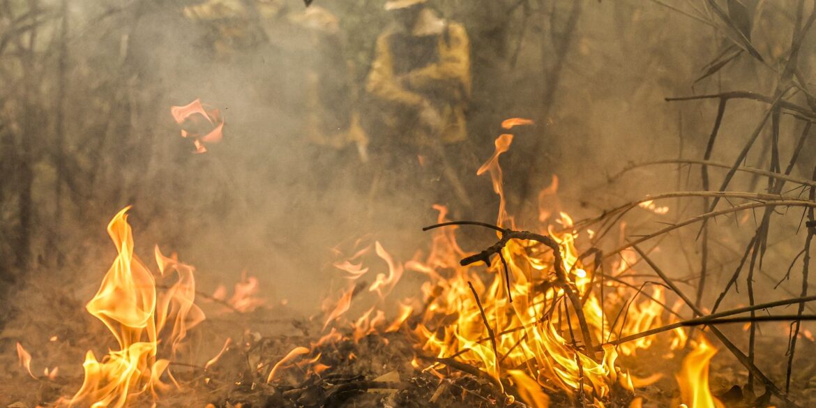 pantanal-e-o-bioma-mais-atingido-pelo-aumento-da-temperatura-no-pais