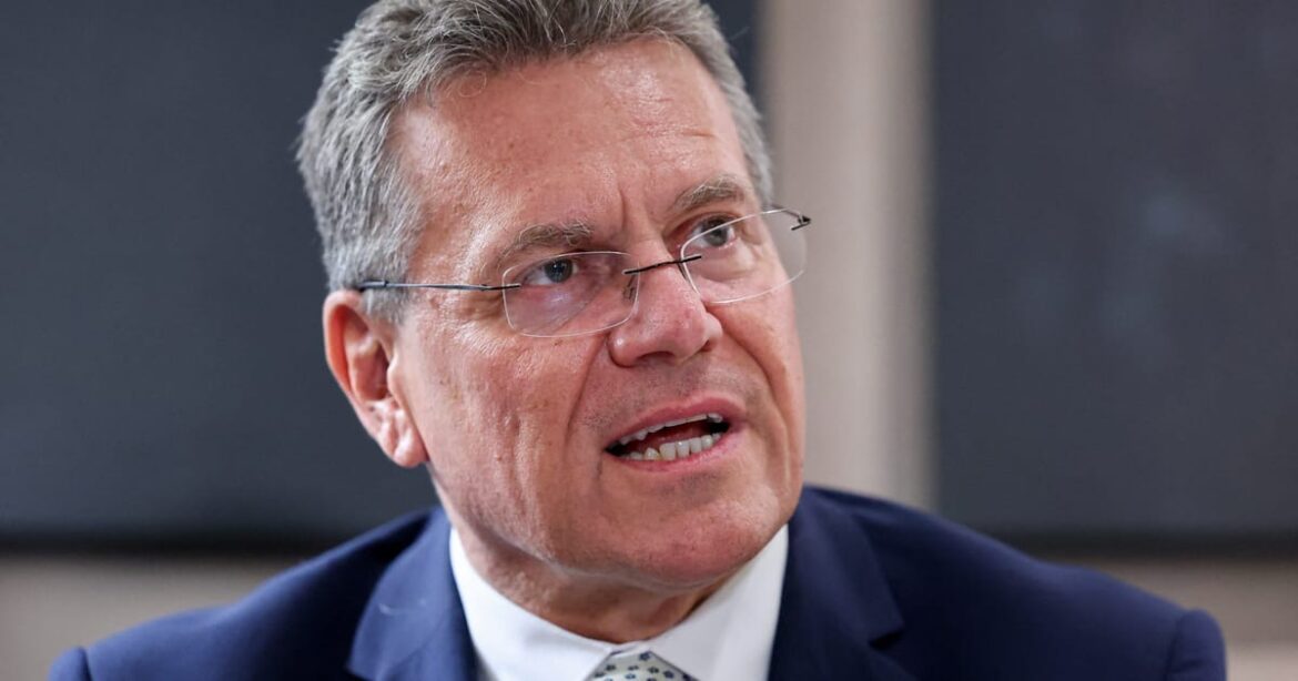 ue-e-china-criam-canal-especial-para-garantir-fornecimento-de-terras-raras,-diz-comissario