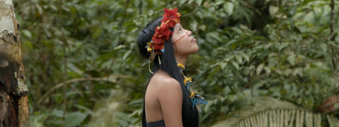 serie-documental-ouro-azul:-por-um-futuro-regenerativo-tera-pre-estreia-na-cop30