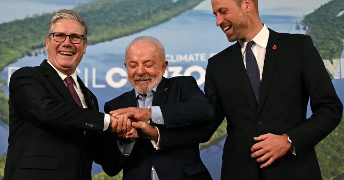 paises-devem-anunciar-primeiros-investimentos-em-fundo-para-preservacao-de-florestas