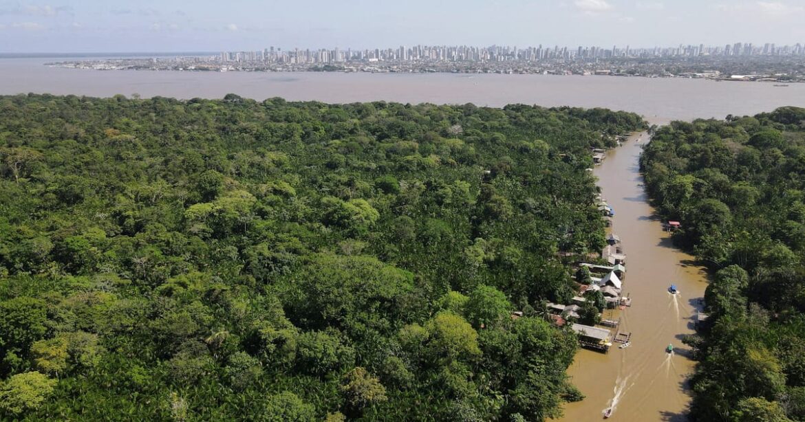 cop30-noruega-anuncia-us$3-bilhoes-para-fundo-florestas-tropicais-para-sempre