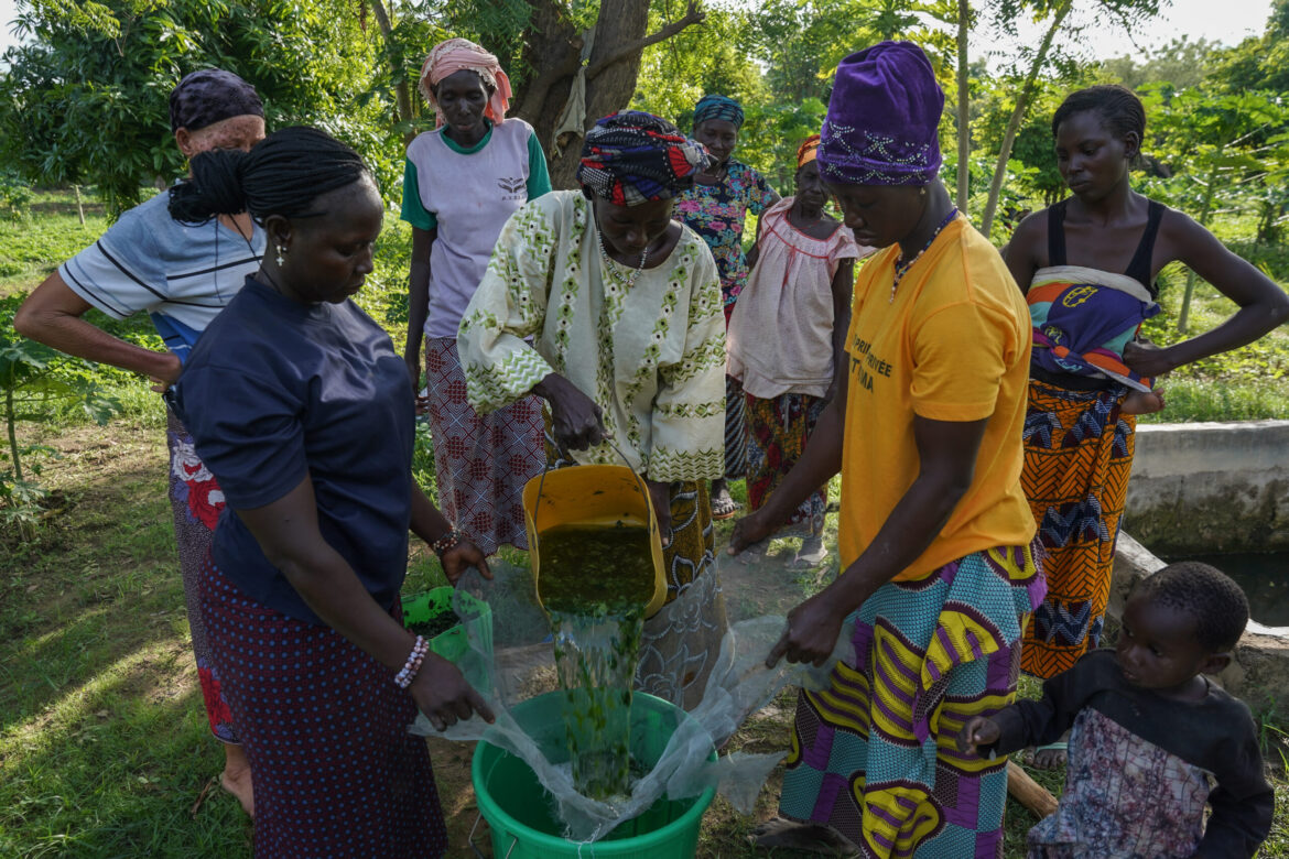 entenda-como-a-agroecologia-e-um-dos-pilares-da-revolucao-agricola-em-burkina-faso