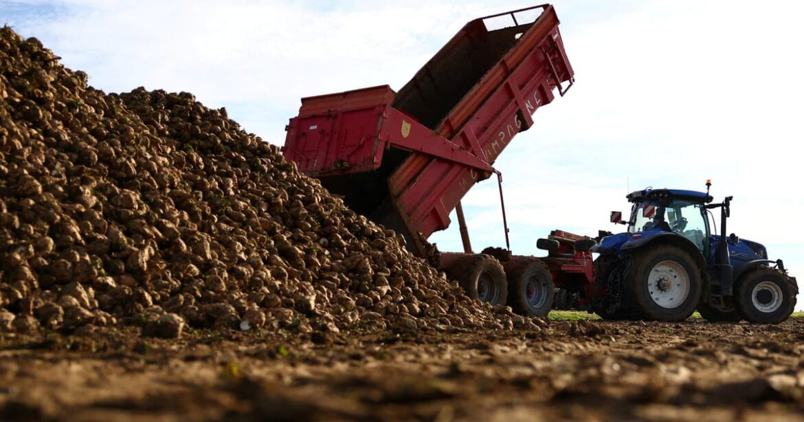 ue-concorda-em-flexibilizar-regras-ambientais-em-reforma-dos-subsidios-agricolas