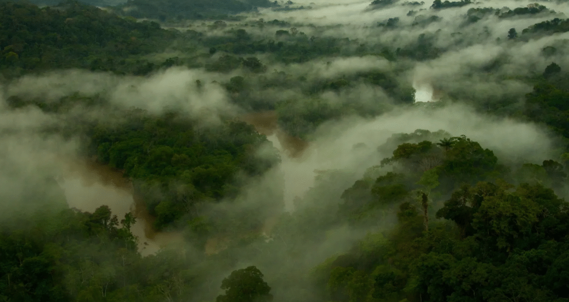 quaest:-94%-dos-brasileiros-afirmam-sentir-impactos-diretos-das-mudancas-climaticas