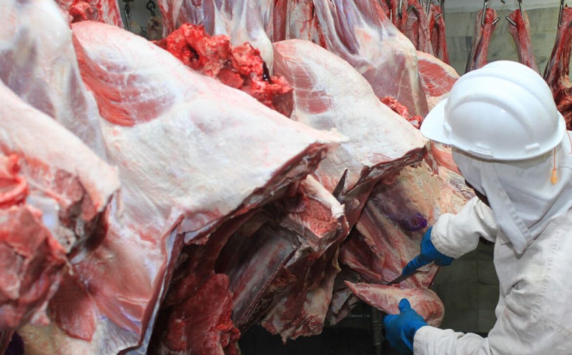 exportacoes-de-carne-de-mt-crescem-67%-no-3o-trimestre-de-2025-e-devem-superar-recorde-de-2024