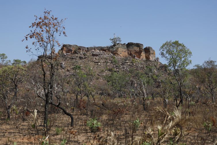 novo-estudo-da-embrapa-territorial-confirma-protagonismo-dos-produtores-na-preservacao-dos-biomas-cerrado-e-amazonia