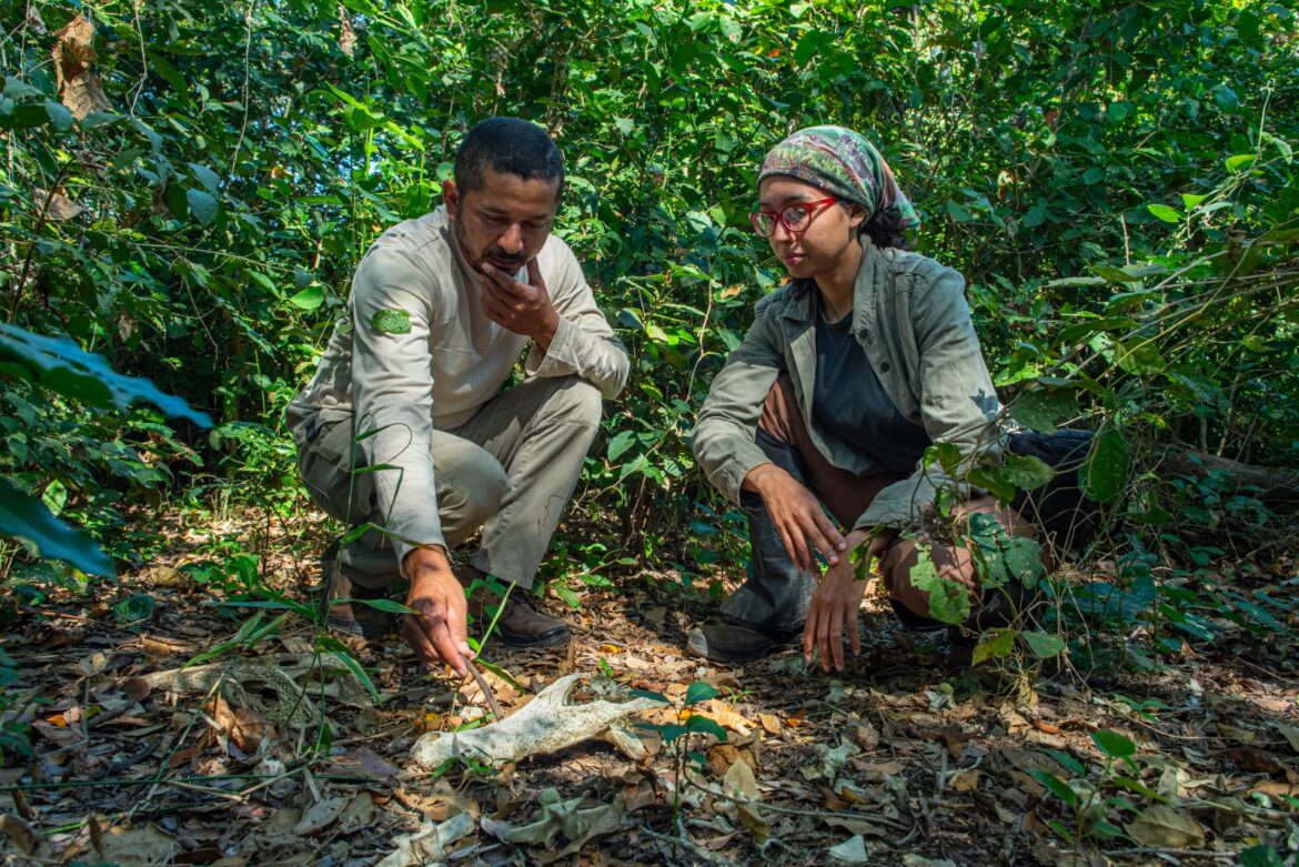 maior-reserva-particular-do-brasil-contribui-para-conservacao-do-pantanal