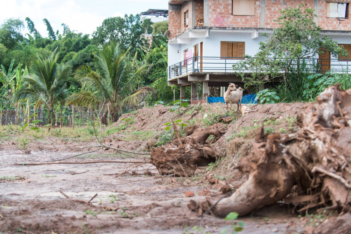 escritorio-britanico-tera-que-pagar-r$-5,7-mi-a-instituto-por-desistir-de-acao-paralela-sobre-mariana