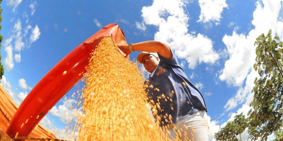 agropecuaria-ajudou-oito-estados-a-crescerem-mais-que-o-brasil-em-2023