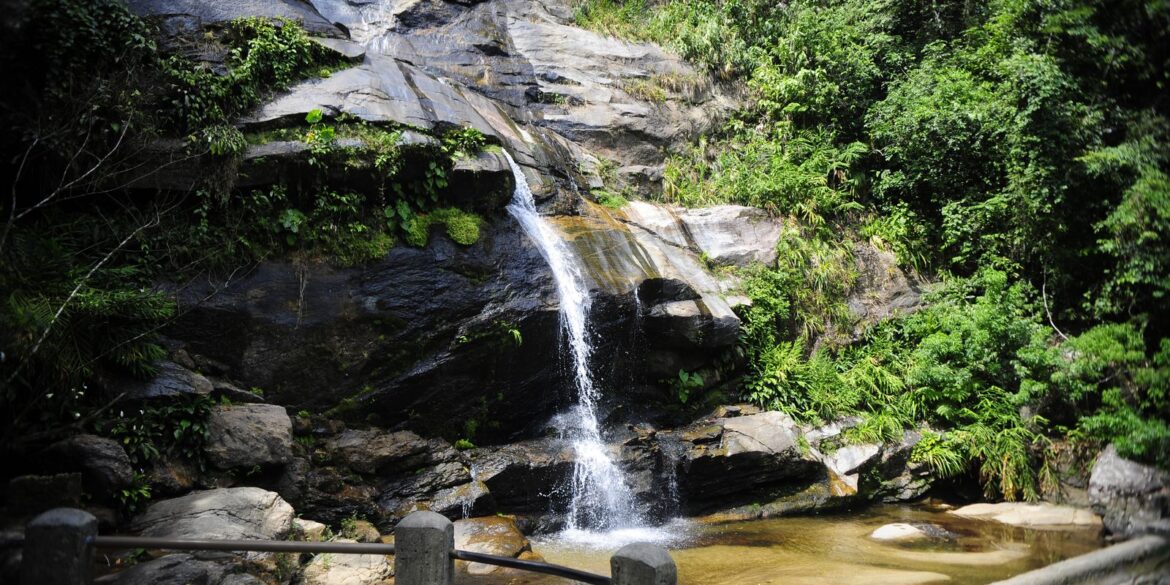 parque-nacional-da-tijuca-promove-feira-de-ciencias-com-foco-em-peixes