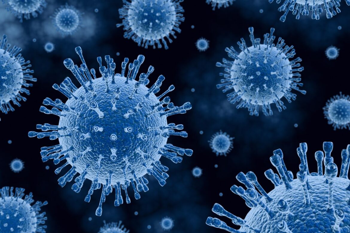 h5n5:-variante-da-gripe-aviaria-e-registrada-em-humano-pela-1a-vez