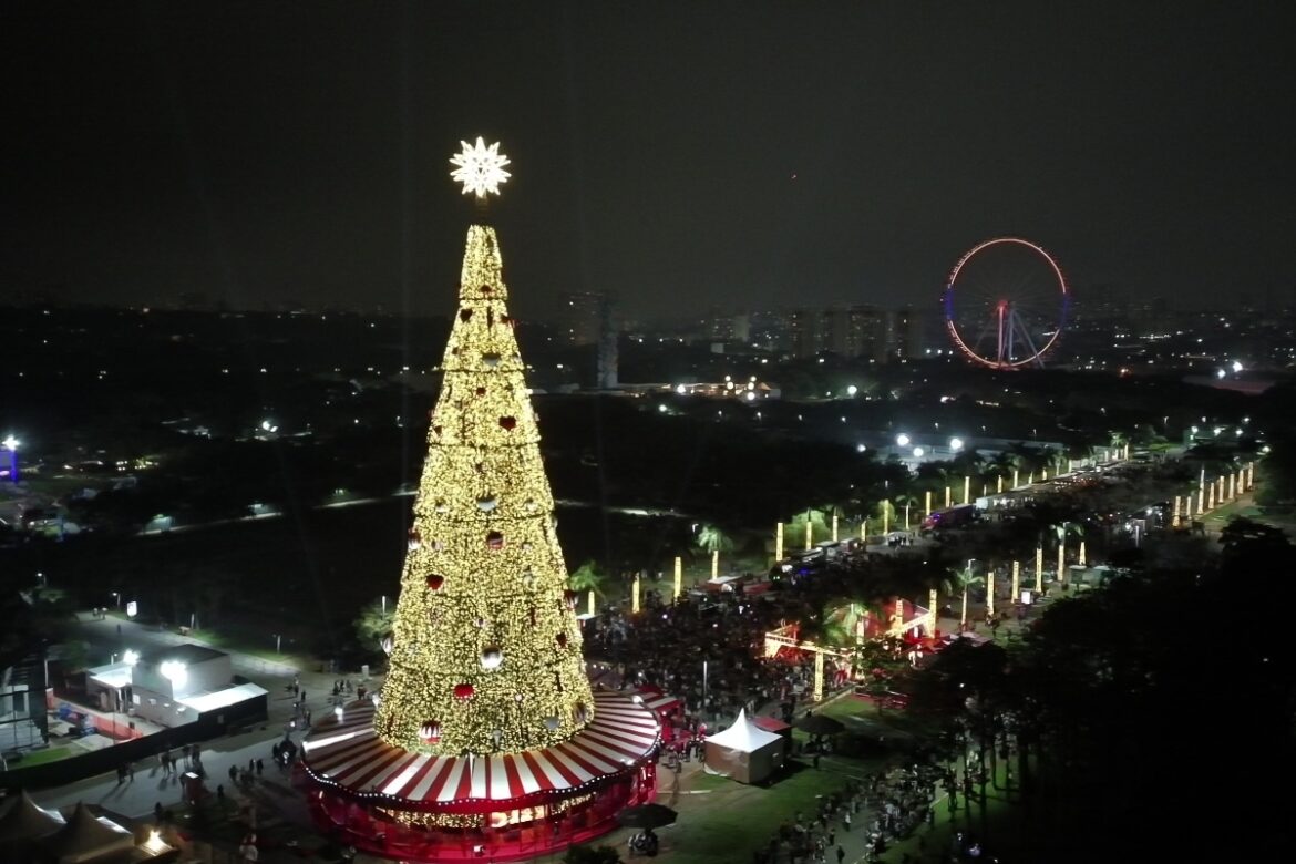 arvore-de-natal-gigante-com-reciclagem-e-carrossel-e-inaugurada-em-sp