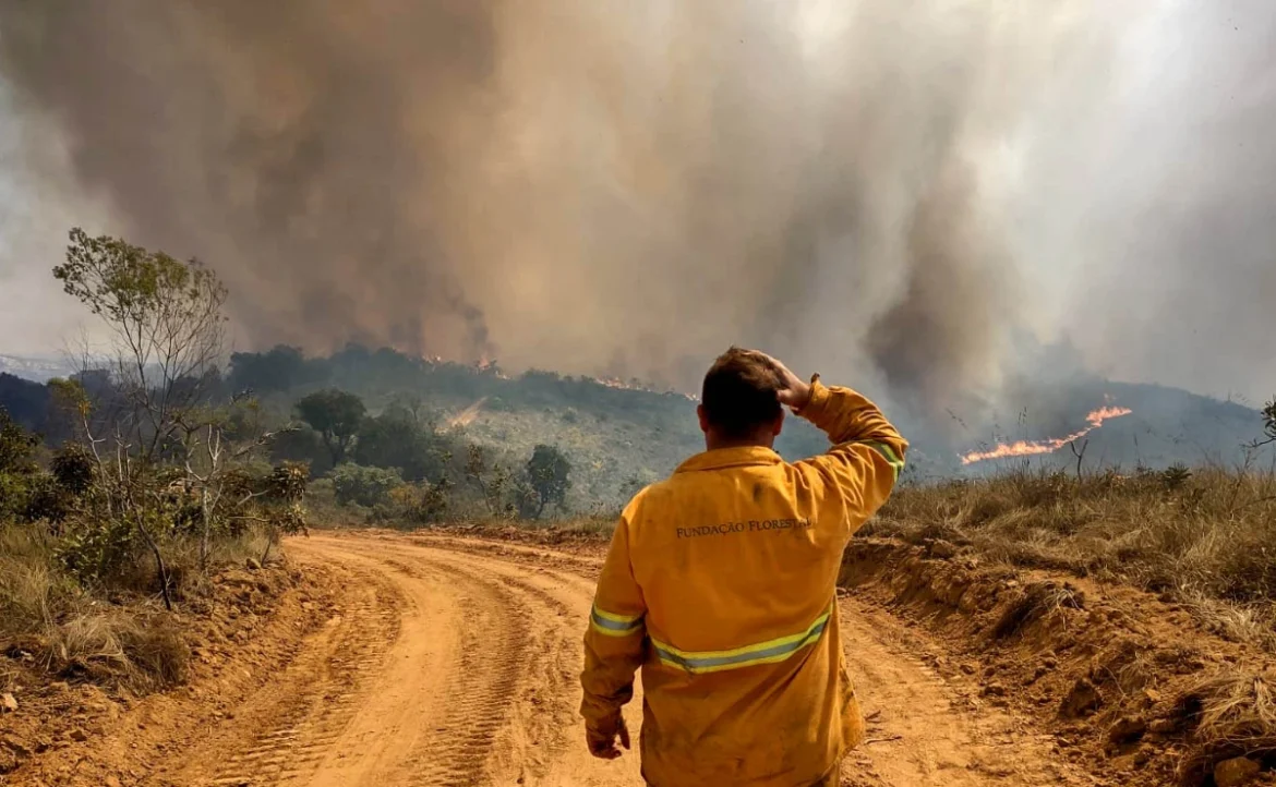 livro-emergencia-climatica,-lancado-na-cop-30,-traz-o-olhar-da-ciencia-sobre-a-crise-ambiental