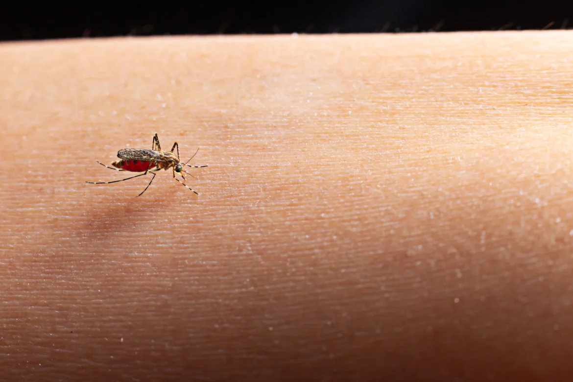 avanco-da-dengue-pede-adaptacao-do-sistema-de-saude-as-mudancas-climaticas,-aponta-especialista