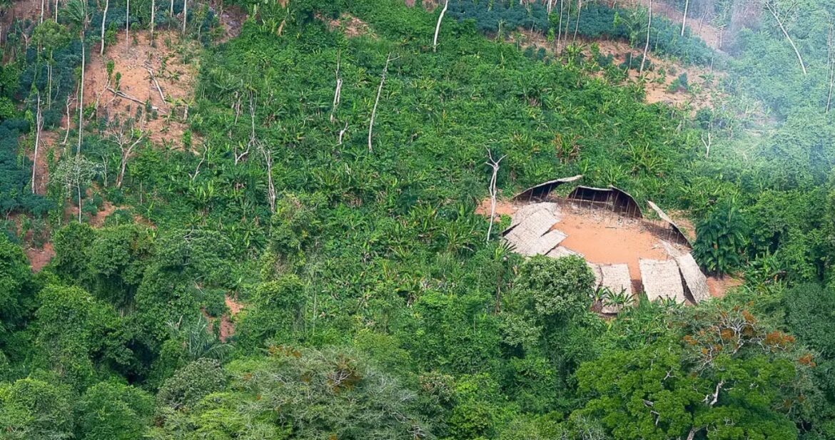 educacao-ambiental-critica-e-mudancas-climaticas