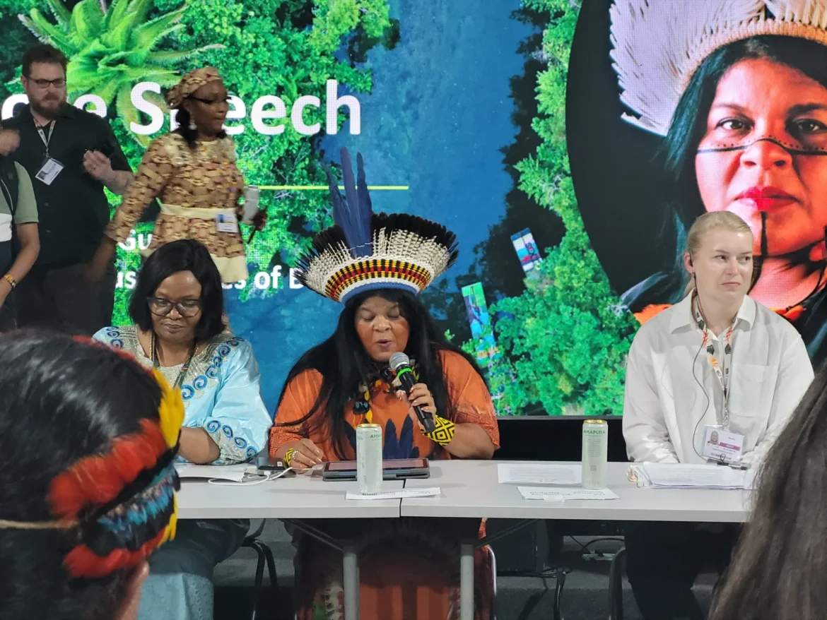 sonia-guajajara-anuncia-a-demarcacao-de-dez-terras-indigenas-no-brasil-em-programa-inedito-de-protecao-florestal