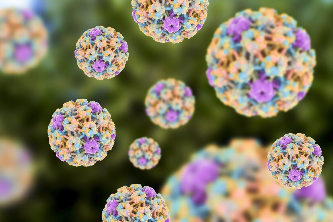 hpv:-urologista-explica-como-a-doenca-se-manifesta-nos-homens