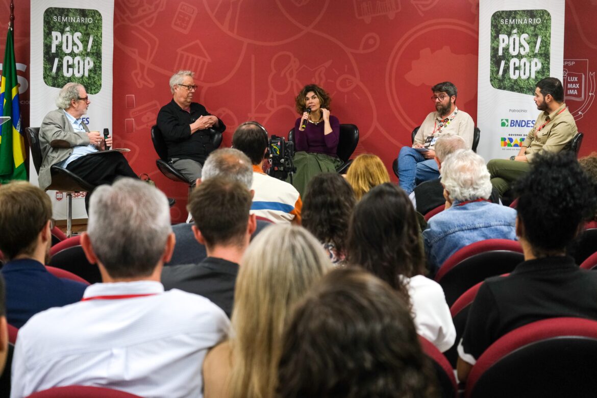 nao-ha-bala-de-prata-contra-a-mudanca-climatica,-diz-diretora-do-bndes-em-evento-pos-cop
