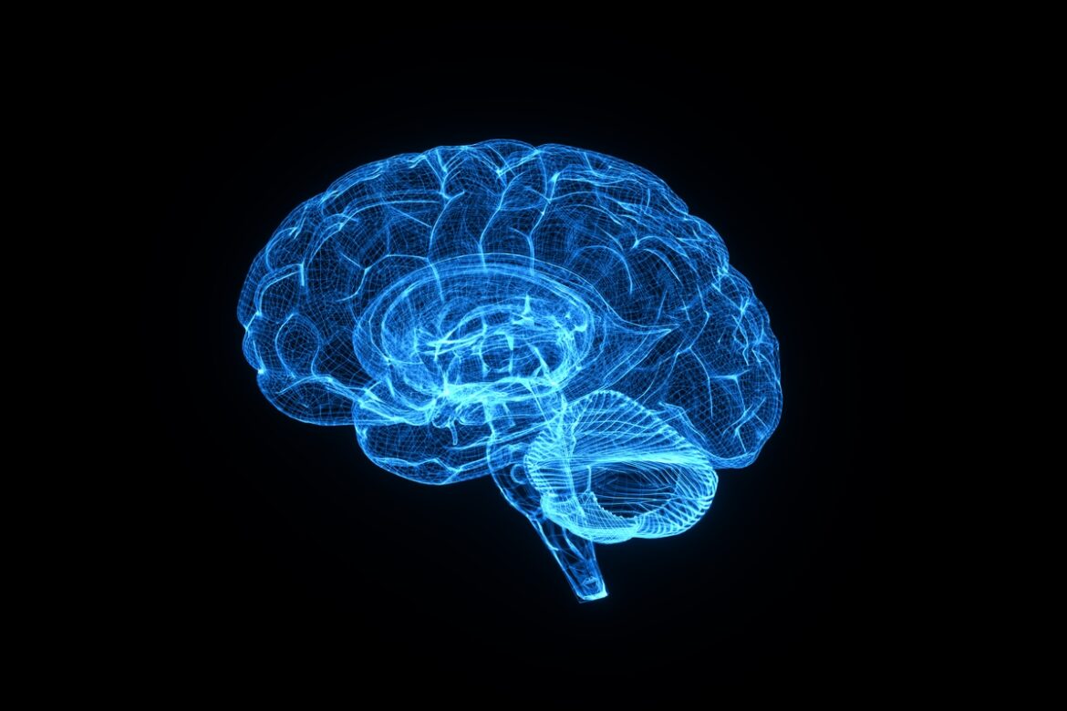 adolescencia-eterna:-estudo-sugere-que-fase-se-estende-ate-os-32-anos