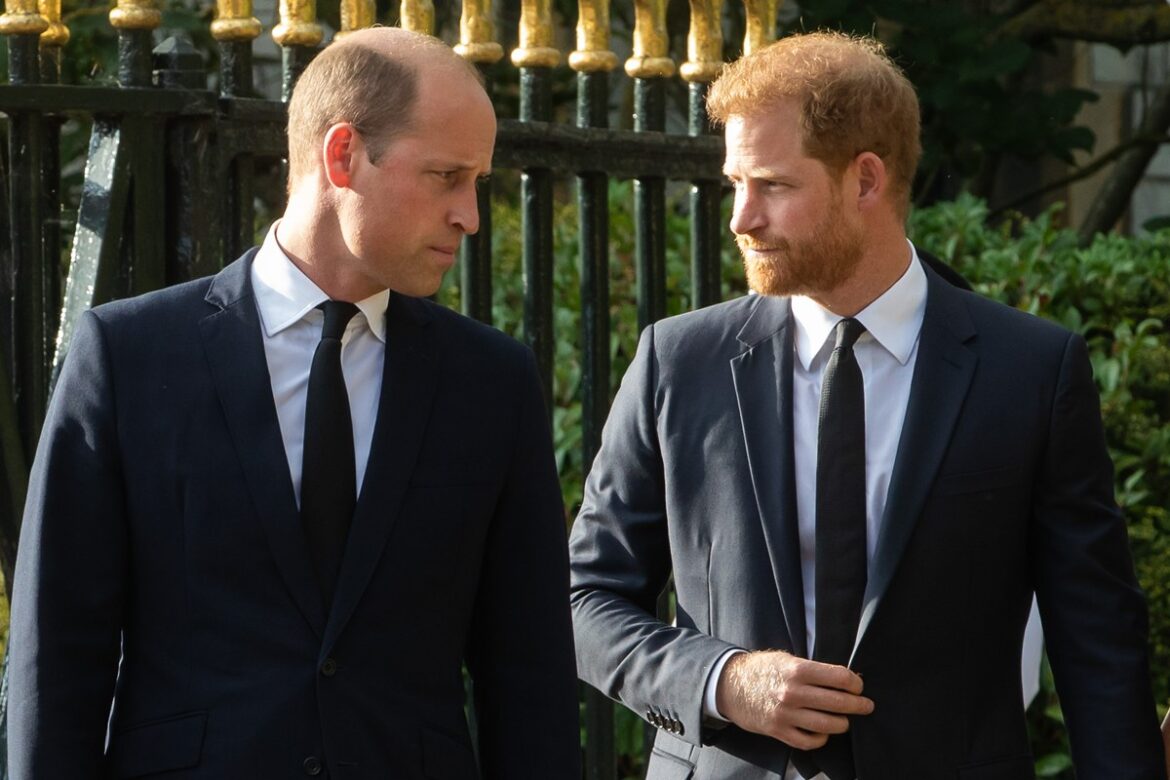 saiba-como-a-copa-do-mundo-pode-aproximar-william-e-harry