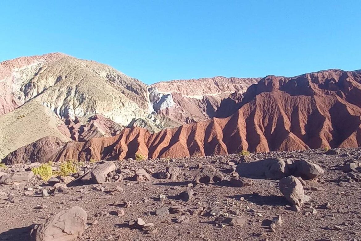 premio-internacional-de-fotografia-cientifica-recebe-inscricoes-ate-fevereiro-de-2026