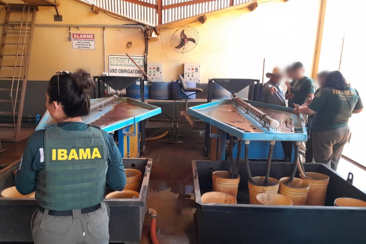 concurso-do-ibama-incra:-banca-contratada-para-60-vagas-temporarias
