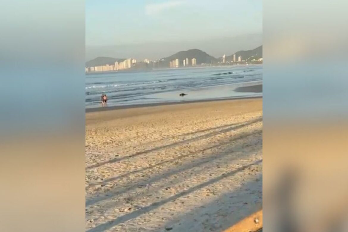 militar-reage-a-roubo-e-atira-em-suspeito-em-fuga-na-orla-do-guaruja