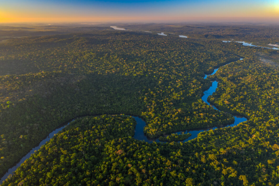 justica-manda-suspender-acordo-para-reduzir-parque-estadual-e-legalizar-terras-do-maior-desmatador-da-amazonia