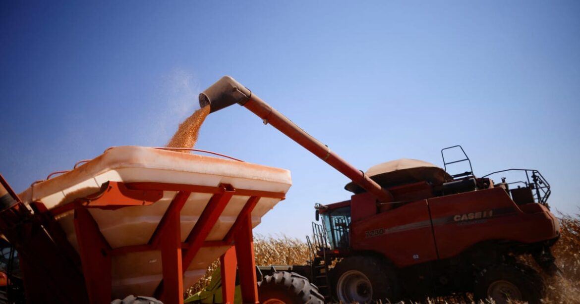 igp-10-sobe-0,04%-em-dezembro-e-termina-ano-com-deflacao-acumulada,-diz-fgv